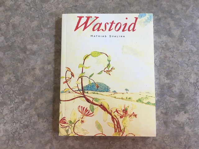 Cover of the book Waistoid